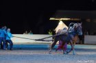 Horse Show 07.10.2012